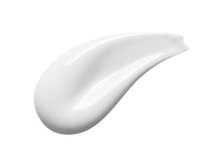 Stem Cell Day Moisturizer